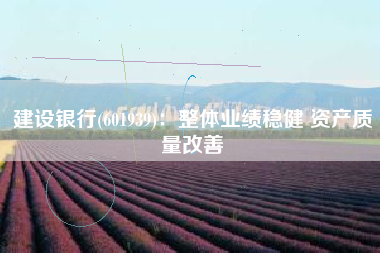 建设银行(601939)：整体业绩稳健 资产质量改善