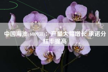 中国海油(600938)：产量大幅增长 承诺分红率提高