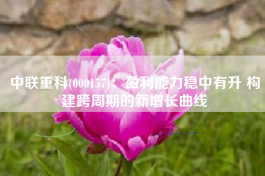 中联重科(000157)：盈利能力稳中有升 构建跨周期的新增长曲线