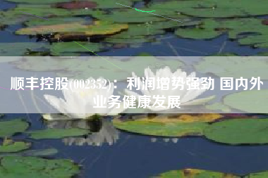 顺丰控股(002352)：利润增势强劲 国内外业务健康发展