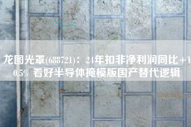龙图光罩(688721)：24年扣非净利润同比+10.5% 看好半导体掩模版国产替代逻辑