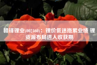 赣锋锂业(002460)：锂价低迷拖累业绩 锂资源布局进入收获期