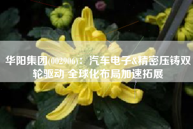 华阳集团(002906)：汽车电子&精密压铸双轮驱动 全球化布局加速拓展