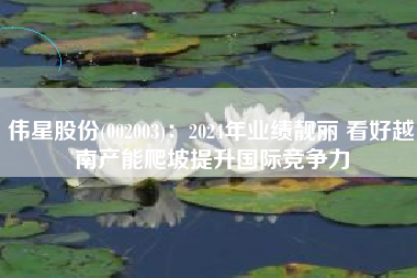 伟星股份(002003)：2024年业绩靓丽 看好越南产能爬坡提升国际竞争力