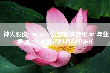 神火股份(000933)：煤炭板块拖累2024年业绩 2025年电解铝利润有望走扩