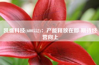 凯盛科技(600552)：产能释放在即 期待经营向上