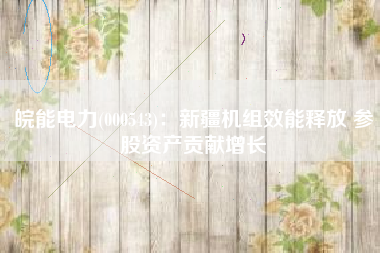 皖能电力(000543)：新疆机组效能释放 参股资产贡献增长