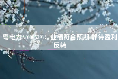 粤电力A(000539)：业绩符合预期 静待盈利反转