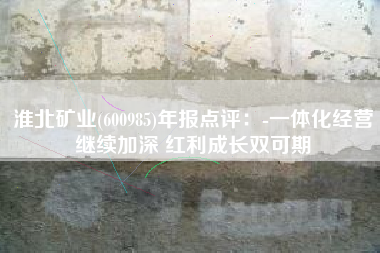 淮北矿业(600985)年报点评：-一体化经营继续加深 红利成长双可期