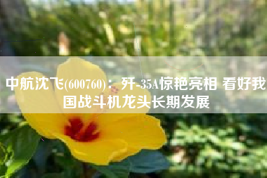 中航沈飞(600760)：歼-35A惊艳亮相 看好我国战斗机龙头长期发展