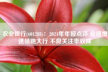 农业银行(601288)：2024年年报点评 业绩增速领跑大行 不良关注率双降