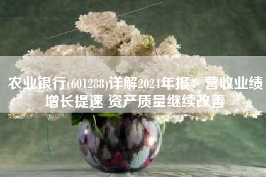 农业银行(601288)详解2024年报：营收业绩增长提速 资产质量继续改善
