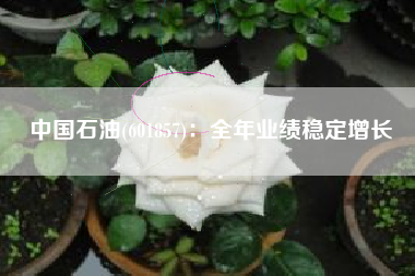 中国石油(601857)：全年业绩稳定增长