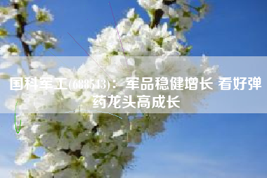 国科军工(688543)：军品稳健增长 看好弹药龙头高成长