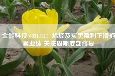 金能科技(603113)：烯烃及炭黑盈利下滑拖累业绩 关注周期底部修复