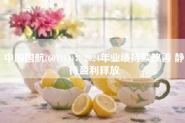中国国航(601111)：2024年业绩持续改善 静待盈利释放