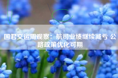 国君交运周观察：航司业绩继续减亏 公路政策优化可期