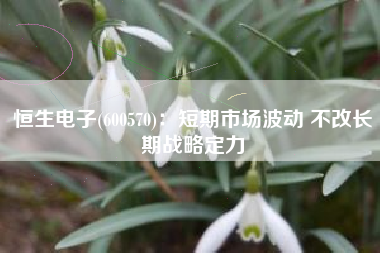 恒生电子(600570)：短期市场波动 不改长期战略定力
