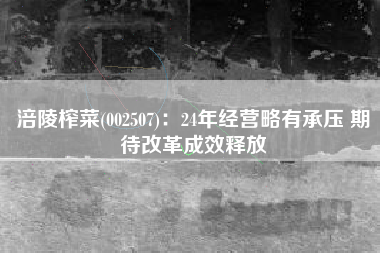 涪陵榨菜(002507)：24年经营略有承压 期待改革成效释放