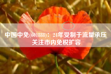 中国中免(601888)：24年受制于流量承压 关注市内免税扩容