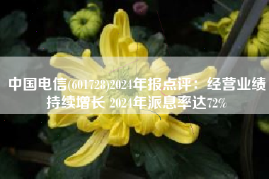 中国电信(601728)2024年报点评：经营业绩持续增长 2024年派息率达72%
