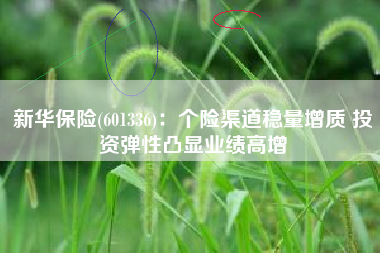 新华保险(601336)：个险渠道稳量增质 投资弹性凸显业绩高增