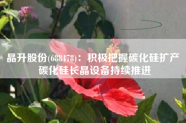晶升股份(688478)：积极把握碳化硅扩产 碳化硅长晶设备持续推进