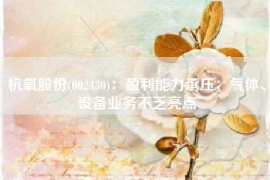 杭氧股份(002430)：盈利能力承压；气体、设备业务不乏亮点