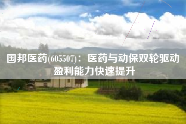 国邦医药(605507)：医药与动保双轮驱动 盈利能力快速提升