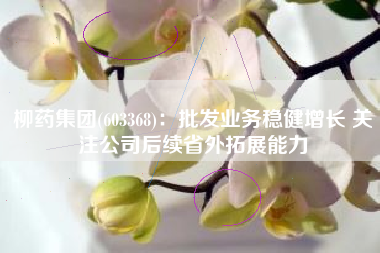 柳药集团(603368)：批发业务稳健增长 关注公司后续省外拓展能力