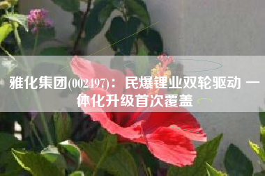 雅化集团(002497)：民爆锂业双轮驱动 一体化升级首次覆盖
