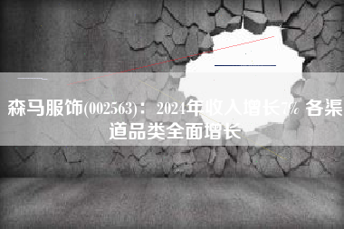 森马服饰(002563)：2024年收入增长7% 各渠道品类全面增长