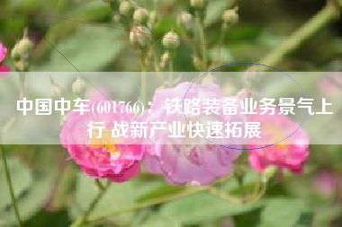 中国中车(601766)：铁路装备业务景气上行 战新产业快速拓展