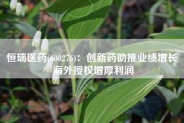 恒瑞医药(600276)：创新药助推业绩增长 海外授权增厚利润