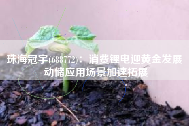 珠海冠宇(688772)：消费锂电迎黄金发展 动储应用场景加速拓展