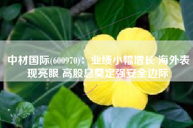 中材国际(600970)：业绩小幅增长 海外表现亮眼 高股息奠定强安全边际