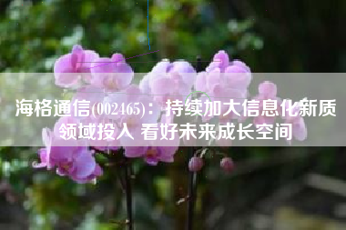 海格通信(002465)：持续加大信息化新质领域投入 看好未来成长空间