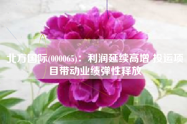 北方国际(000065)：利润延续高增 投运项目带动业绩弹性释放