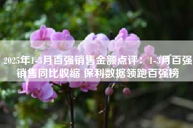2025年1-3月百强销售金额点评：1-3月百强销售同比收缩 保利数据领跑百强榜