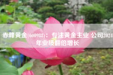 赤峰黄金(600988)：专注黄金主业 公司2024年业绩翻倍增长