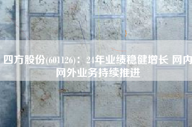 四方股份(601126)：24年业绩稳健增长 网内网外业务持续推进