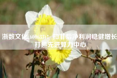 浙数文化(600633)：扣非后净利润稳健增长 打造先进算力中心