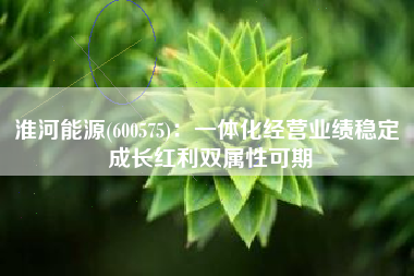 淮河能源(600575)：一体化经营业绩稳定 成长红利双属性可期