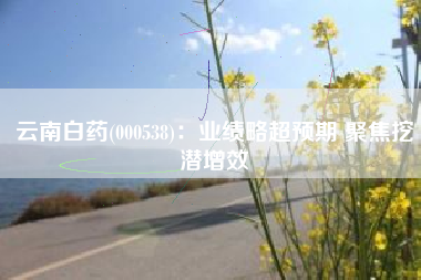 云南白药(000538)：业绩略超预期 聚焦挖潜增效