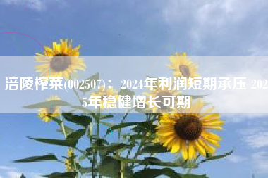涪陵榨菜(002507)：2024年利润短期承压 2025年稳健增长可期