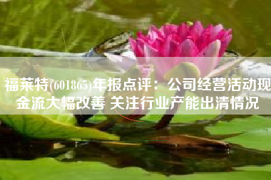 福莱特(601865)年报点评：公司经营活动现金流大幅改善 关注行业产能出清情况