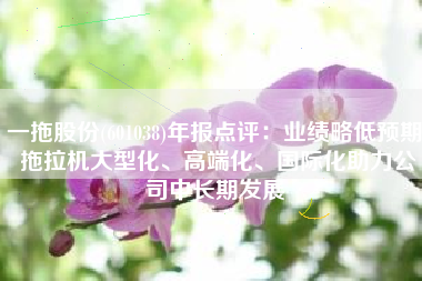 一拖股份(601038)年报点评：业绩略低预期 拖拉机大型化、高端化、国际化助力公司中长期发展
