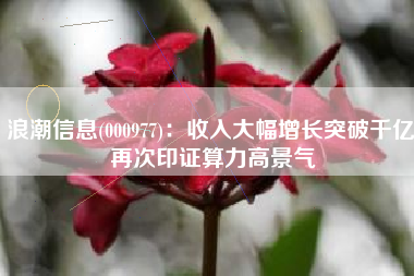 浪潮信息(000977)：收入大幅增长突破千亿 再次印证算力高景气