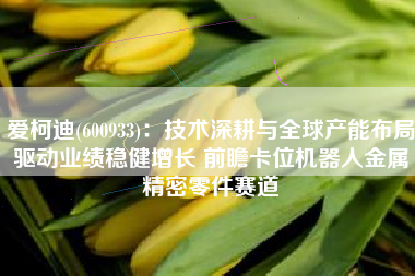 爱柯迪(600933)：技术深耕与全球产能布局驱动业绩稳健增长 前瞻卡位机器人金属精密零件赛道