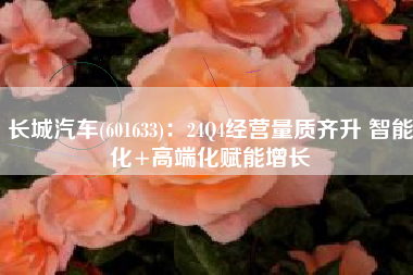 长城汽车(601633)：24Q4经营量质齐升 智能化+高端化赋能增长